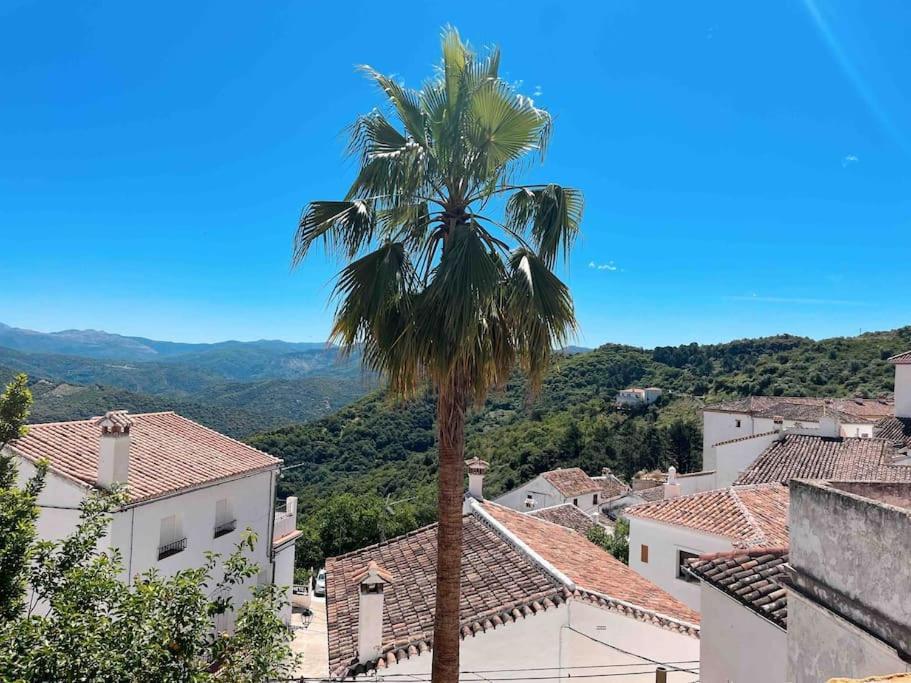 La Palmera. Casa Rural Con Piscina Privada. Villa Benadalid Exterior foto