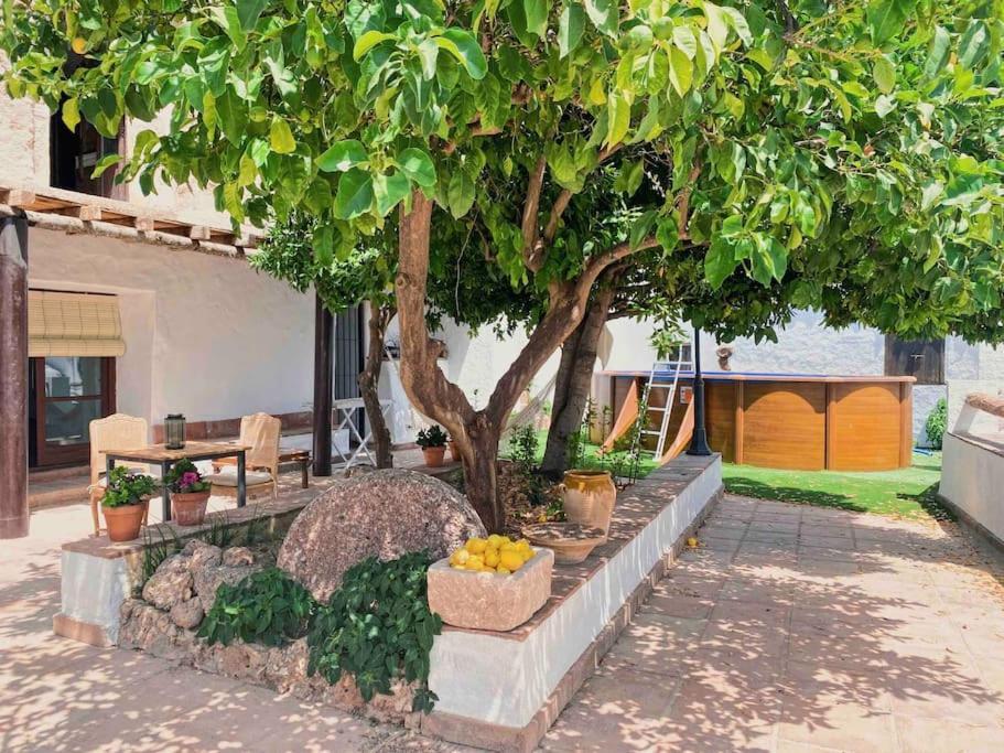 La Palmera. Casa Rural Con Piscina Privada. Villa Benadalid Exterior foto